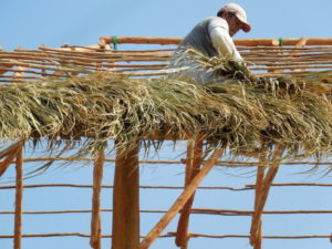 Weaving palm leaves into a rancho roof