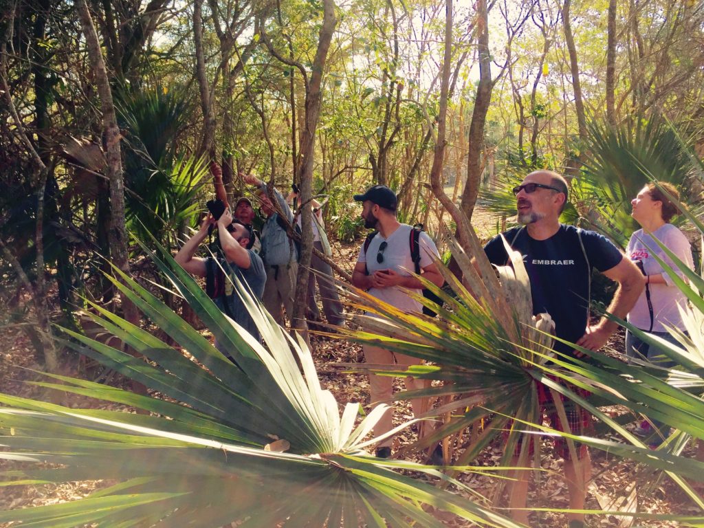 Hiking around the Zapata Swamp