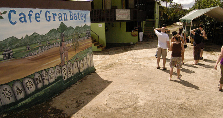 Coffee farm